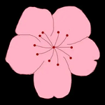 色色软件APP应用